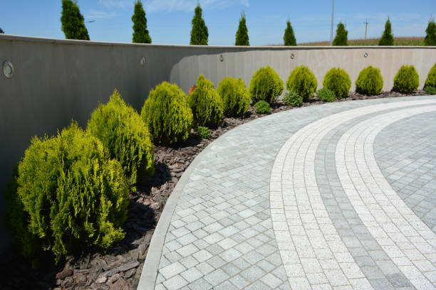Best Affordable Driveway Paving  in Haddon Heights, NJ